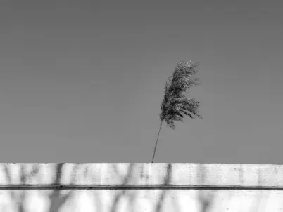 Casino Classy Slots Mobilna aplikacija